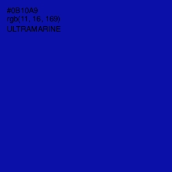 #0B10A9 - Ultramarine Color Image