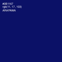 #0B1167 - Arapawa Color Image