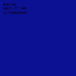 #0B1192 - Ultramarine Color Image