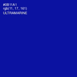 #0B11A1 - Ultramarine Color Image