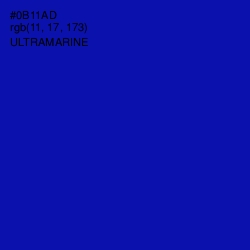 #0B11AD - Ultramarine Color Image