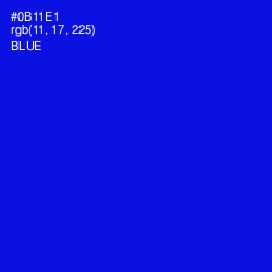 #0B11E1 - Blue Color Image