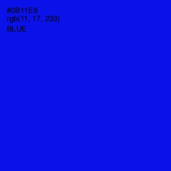 #0B11E9 - Blue Color Image