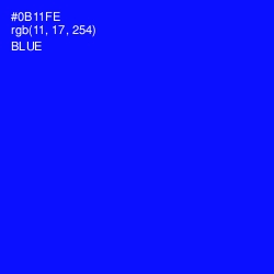 #0B11FE - Blue Color Image