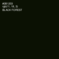 #0B1203 - Black Forest Color Image