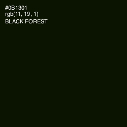 #0B1301 - Black Forest Color Image