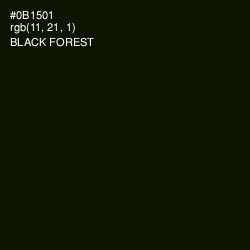 #0B1501 - Black Forest Color Image