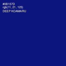 #0B157D - Deep Koamaru Color Image