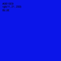 #0B15E9 - Blue Color Image