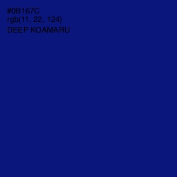 #0B167C - Deep Koamaru Color Image