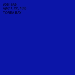 #0B16A9 - Torea Bay Color Image