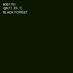 #0B1701 - Black Forest Color Image