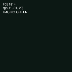 #0B1814 - Racing Green Color Image