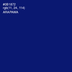#0B1872 - Arapawa Color Image