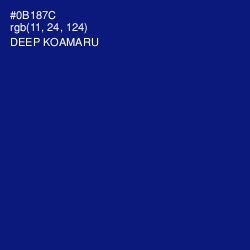 #0B187C - Deep Koamaru Color Image