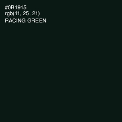 #0B1915 - Racing Green Color Image