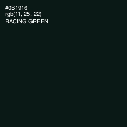 #0B1916 - Racing Green Color Image