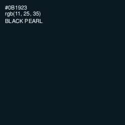 #0B1923 - Black Pearl Color Image