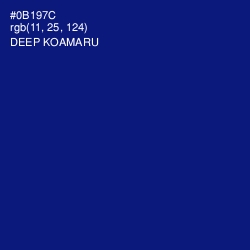 #0B197C - Deep Koamaru Color Image