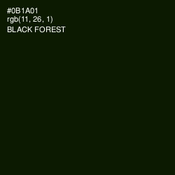 #0B1A01 - Black Forest Color Image