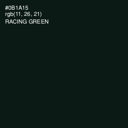 #0B1A15 - Racing Green Color Image