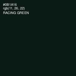 #0B1A16 - Racing Green Color Image