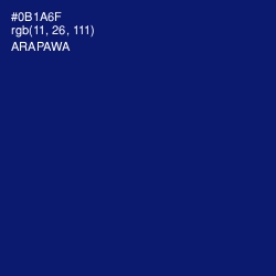 #0B1A6F - Arapawa Color Image
