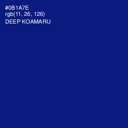 #0B1A7E - Deep Koamaru Color Image