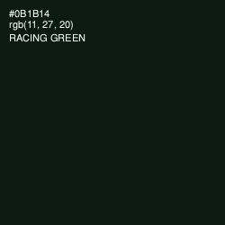 #0B1B14 - Racing Green Color Image