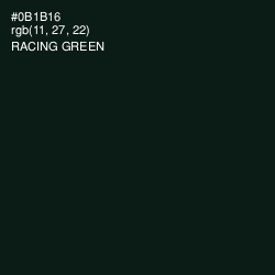 #0B1B16 - Racing Green Color Image