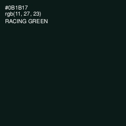 #0B1B17 - Racing Green Color Image