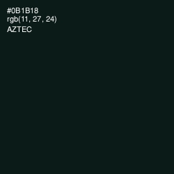 #0B1B18 - Aztec Color Image