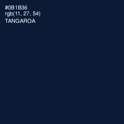 #0B1B36 - Tangaroa Color Image