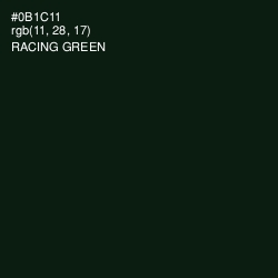 #0B1C11 - Racing Green Color Image