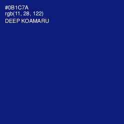 #0B1C7A - Deep Koamaru Color Image