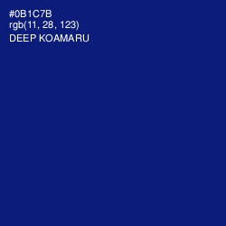 #0B1C7B - Deep Koamaru Color Image