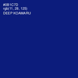 #0B1C7D - Deep Koamaru Color Image