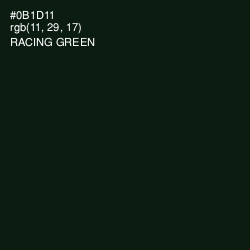 #0B1D11 - Racing Green Color Image