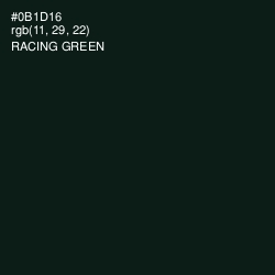 #0B1D16 - Racing Green Color Image