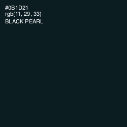 #0B1D21 - Black Pearl Color Image