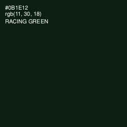 #0B1E12 - Racing Green Color Image