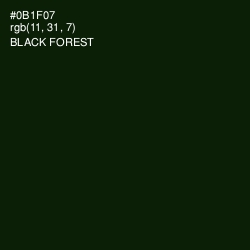 #0B1F07 - Black Forest Color Image