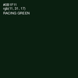 #0B1F11 - Racing Green Color Image