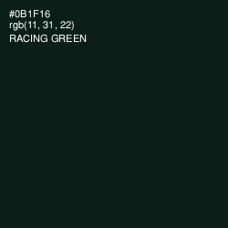 #0B1F16 - Racing Green Color Image