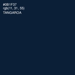 #0B1F37 - Tangaroa Color Image