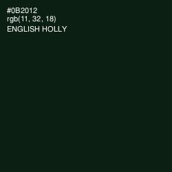 #0B2012 - English Holly Color Image