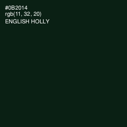 #0B2014 - English Holly Color Image