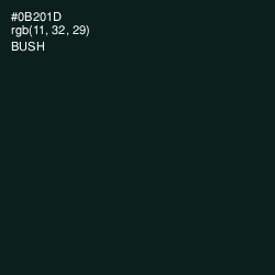 #0B201D - Bush Color Image
