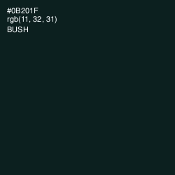 #0B201F - Bush Color Image