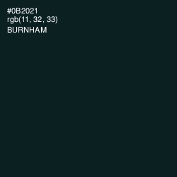 #0B2021 - Burnham Color Image